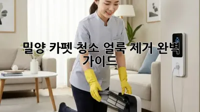 밀양 카펫 청소: 얼룩 제거 완벽 가이드